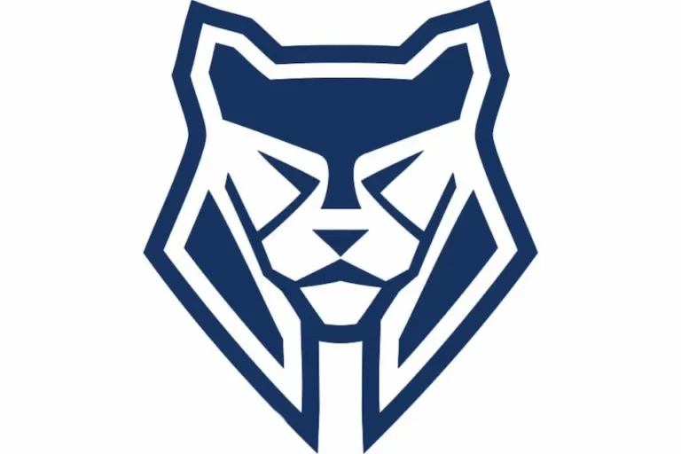 Флорбольный клуб «Ирбис»| Казань