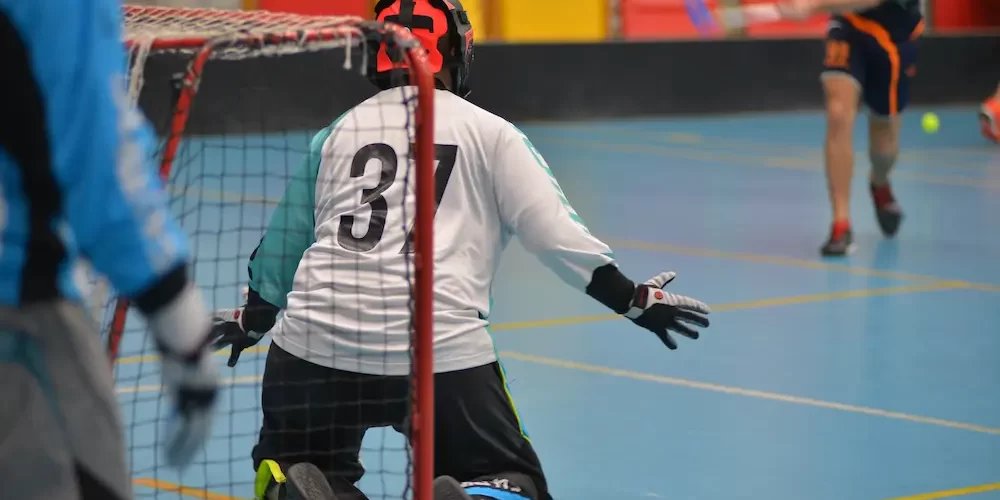 Техника вратарей во флорболе Часть 1