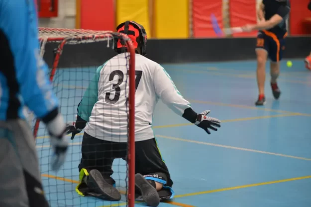 Техника вратарей во флорболе Часть 1